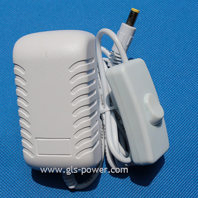  24W Wall Plug Power Adapter